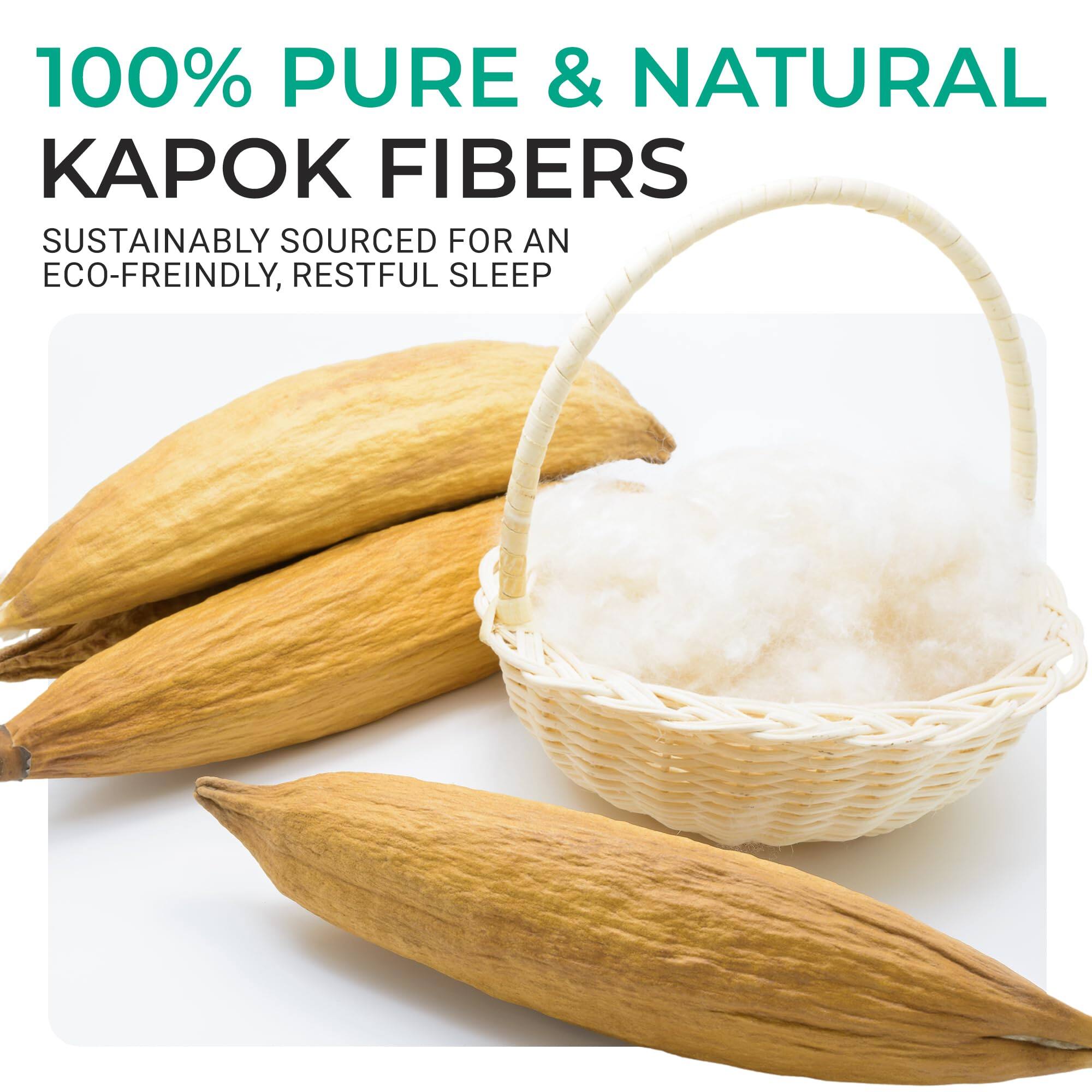 100% PURE & NATURAL  
KAPOK FIBERS  
SUSTAINABLY SOURCED FOR AN ECO-FRIENDLY, RESTFUL SLEEP