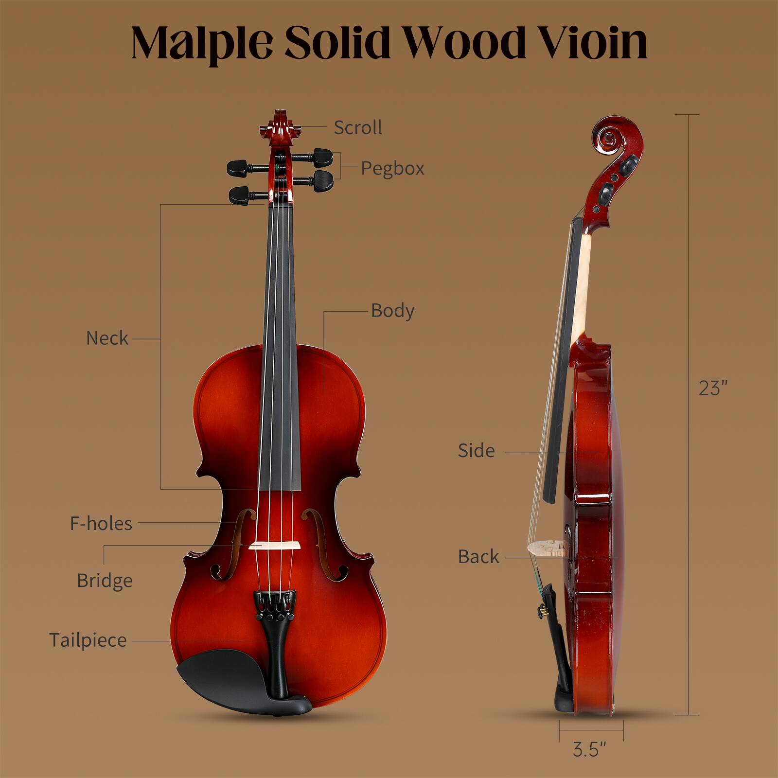 Malple Solid Wood Violin

Scroll
Pegbox
Neck
Body
23"
Side
F-holes
Bridge
Back
Tailpiece
3.5"