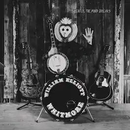 William Elliot Whitmore - Silently The Mind Breaks - VINYL LP