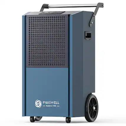 MOISWELL Explorer V190