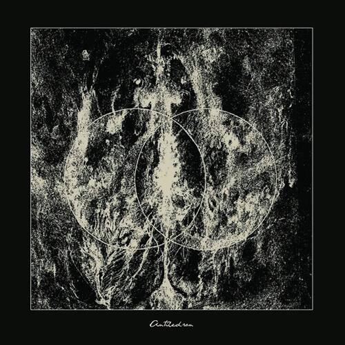 Antihedron [LP] [VINYL] price history on PriceWatchPro