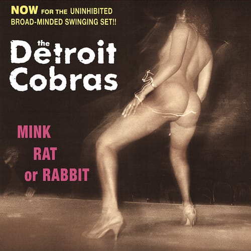 The Detroit Cobras - Mink, Rat Or Rabbit   - COMPACT DISCS [CD]