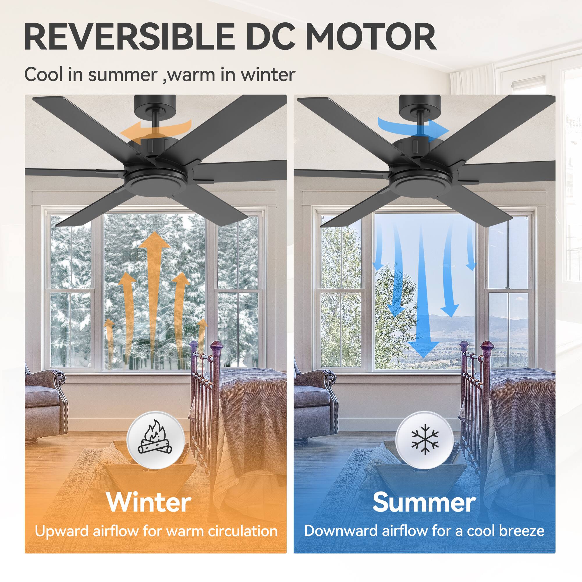 REVERSIBLE DC MOTOR  
Cool in summer, warm in winter  

Winter  
Upward airflow for warm circulation  

Summer  
Downward airflow for a cool breeze