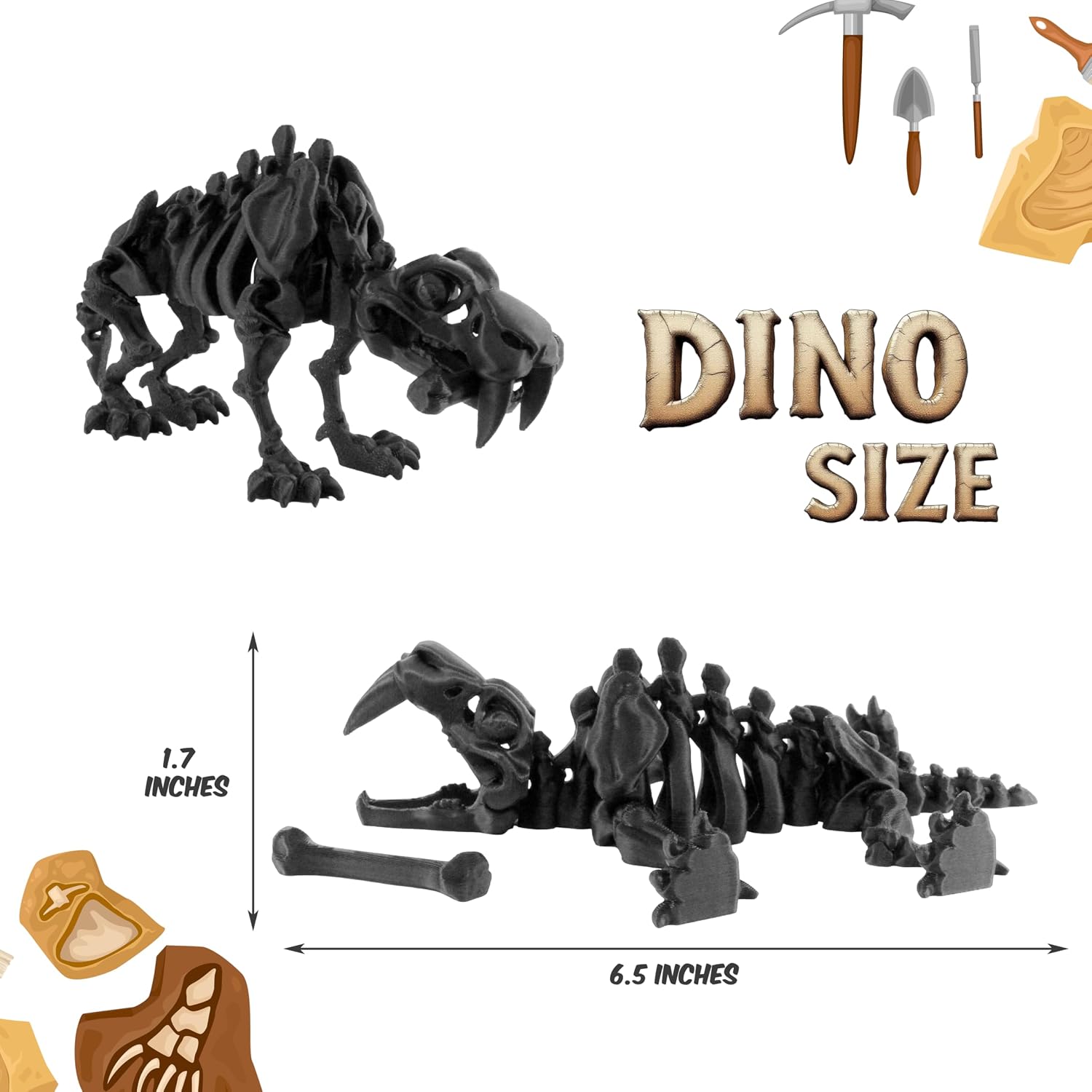DINO SIZE  
1.7 INCHES  
6.5 INCHES