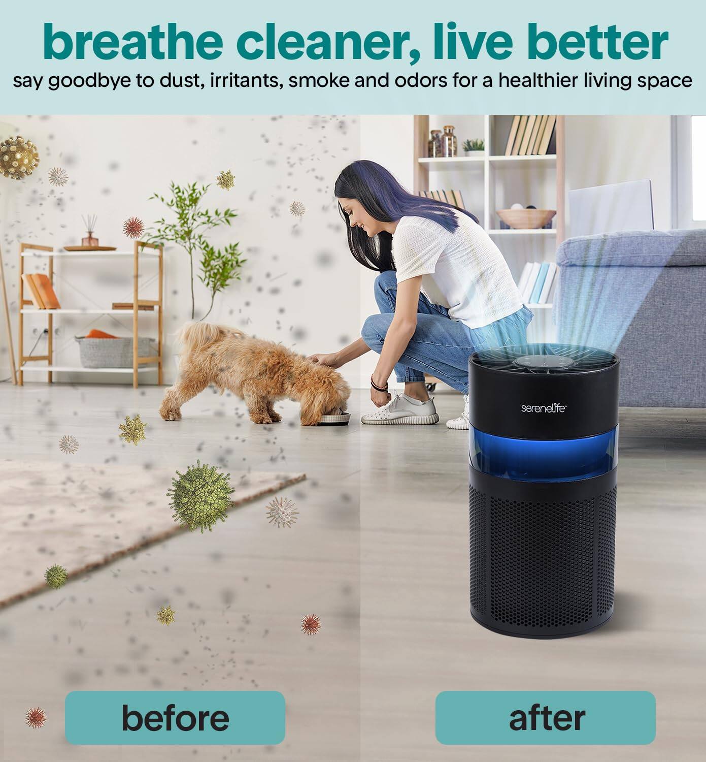 breathe cleaner, live better  
say goodbye to dust, irritants, smoke and odors for a healthier living space  

before  
after