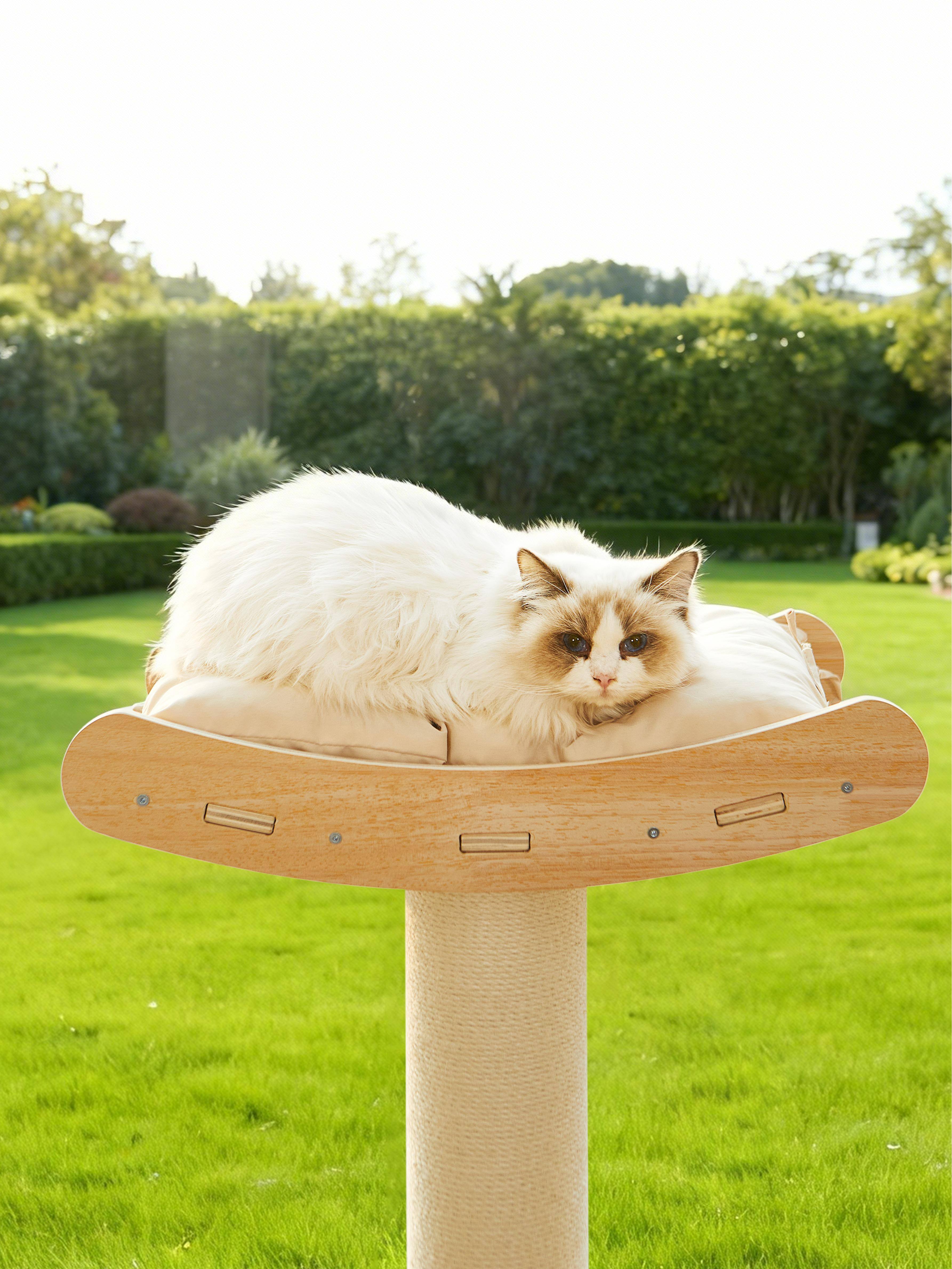 Left. JUJABU - Half Cat Tree Tower– 3-Tier Hemp Scratching Post, Perches & Sturdy Activity Center Suction Cup.