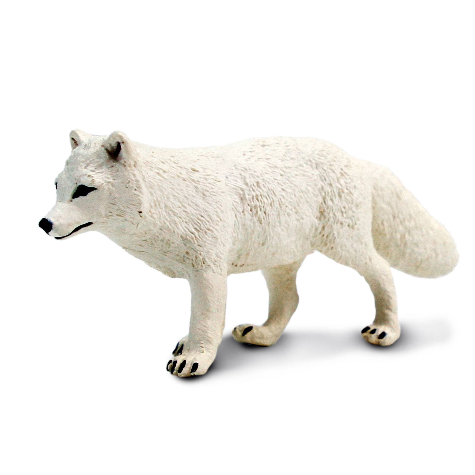 Angle. Safari Ltd. - Arctic Fox.