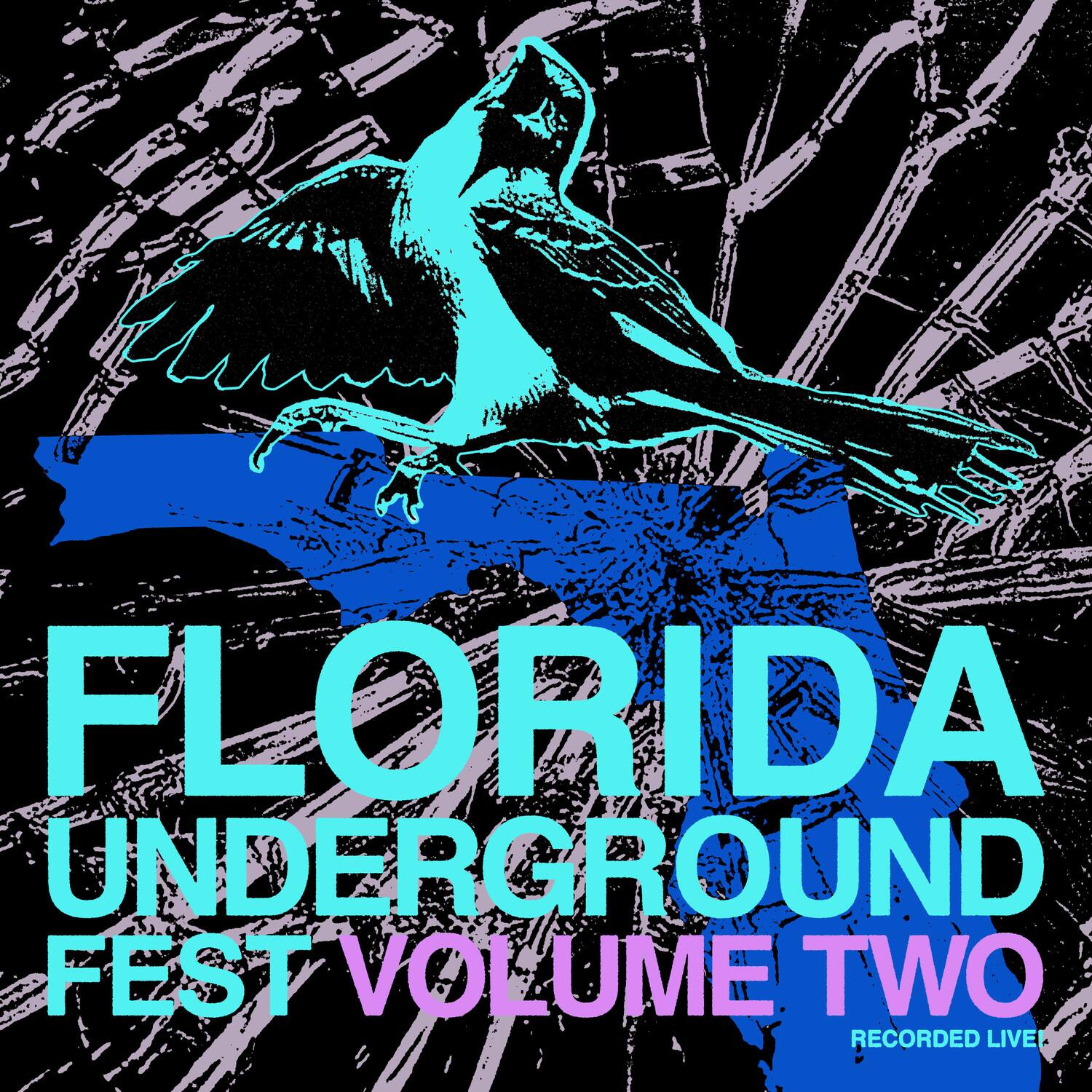 Various Artists - Florida Underground Fest 2 (Various Artists)   - VINYL LP price history on PriceWatchPro
