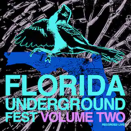 Various Artists - Florida Underground Fest 2 (Various Artists) - VINYL LP
