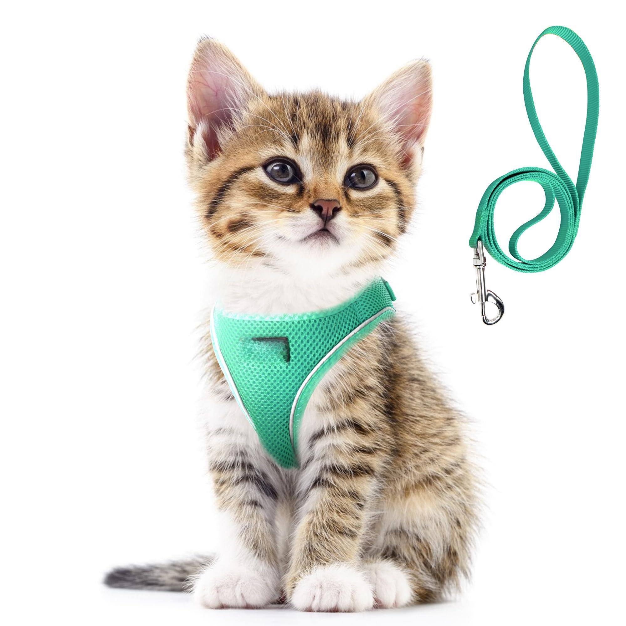 Turquoise-XXS (Neck:11.4"-12.2"; Girth:12.6"-14.2