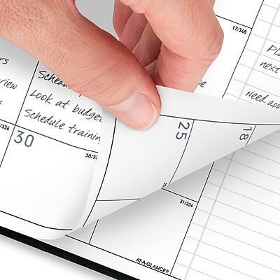 Sure, here is the corrected and grouped text:

- **Schean**
  - Look at budget
  - Schedule training

- **Next**
  - 30/3
  - 25

- **Need and**
  - 18
  - 31/334

- **AT-A-GLANCE**