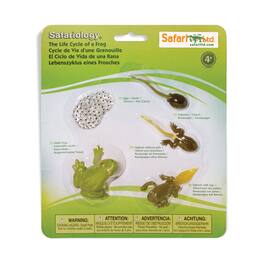Safari Ltd. - Life Cycle Of A Frog Toy