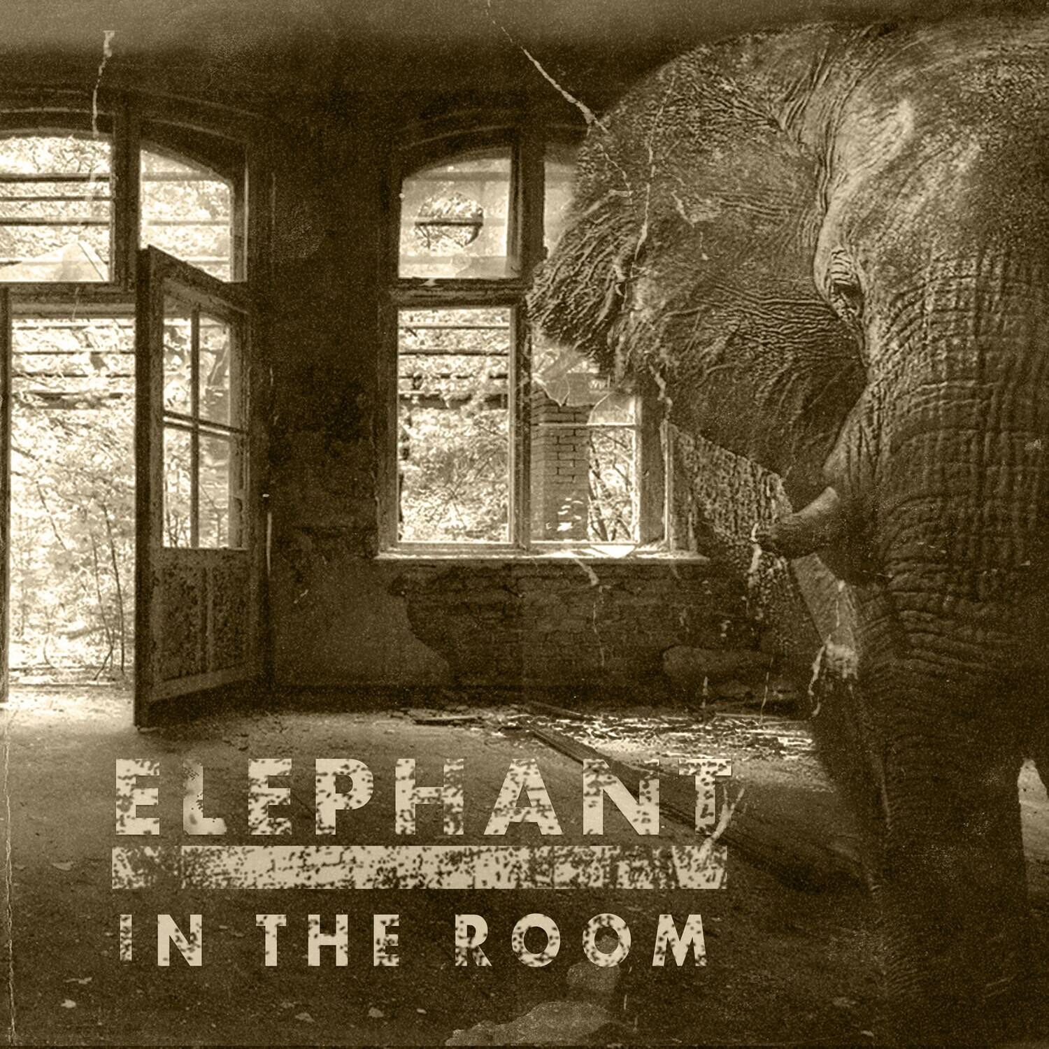 ELEPHANT IN THE ROOM
