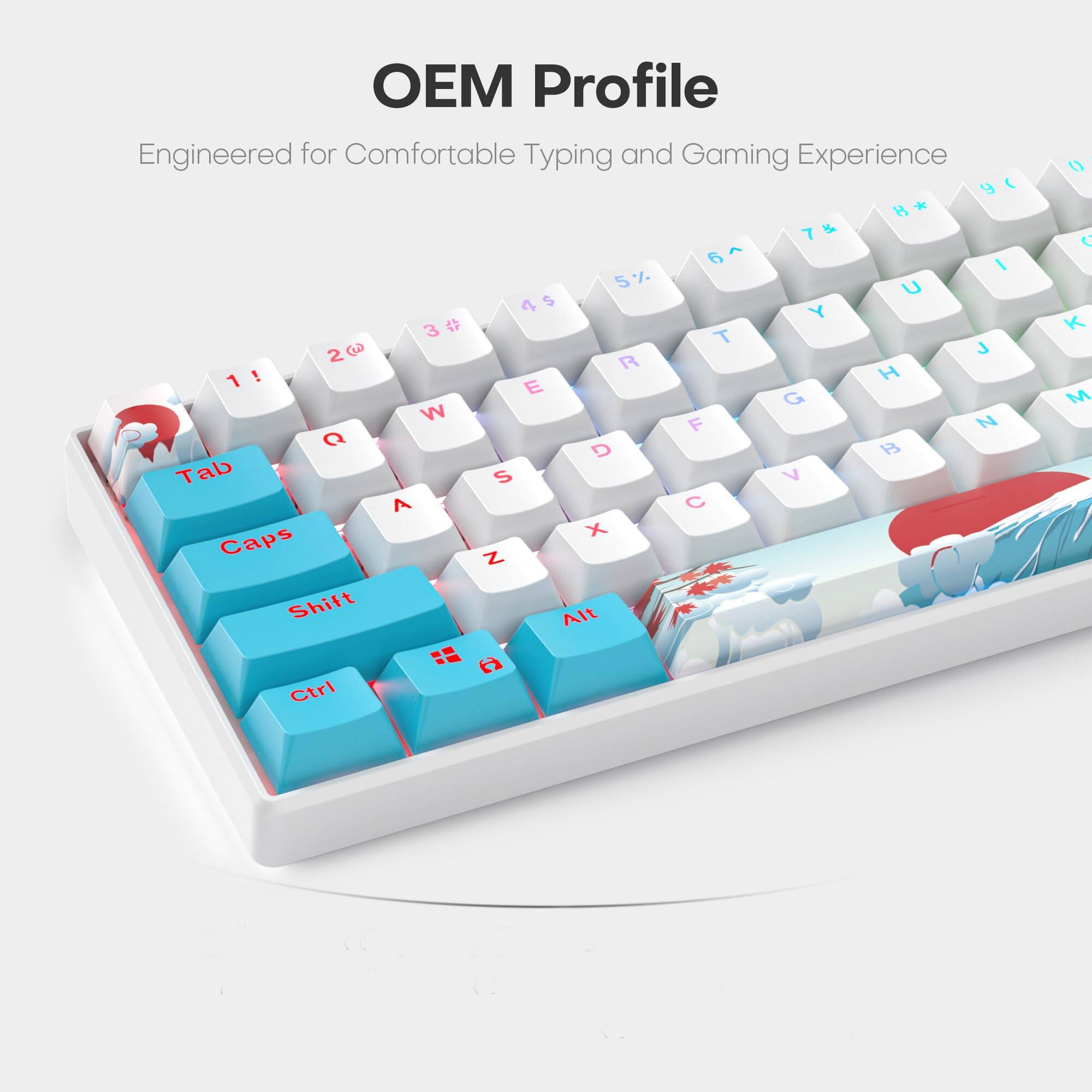 OEM Profile  
Engineered for Comfortable Typing and Gaming Experience  

Tab Q W E R T Y U I O P  
Caps A S D F G H J K L ; '  
Shift Z X C V B N M , . /  
Ctrl Alt