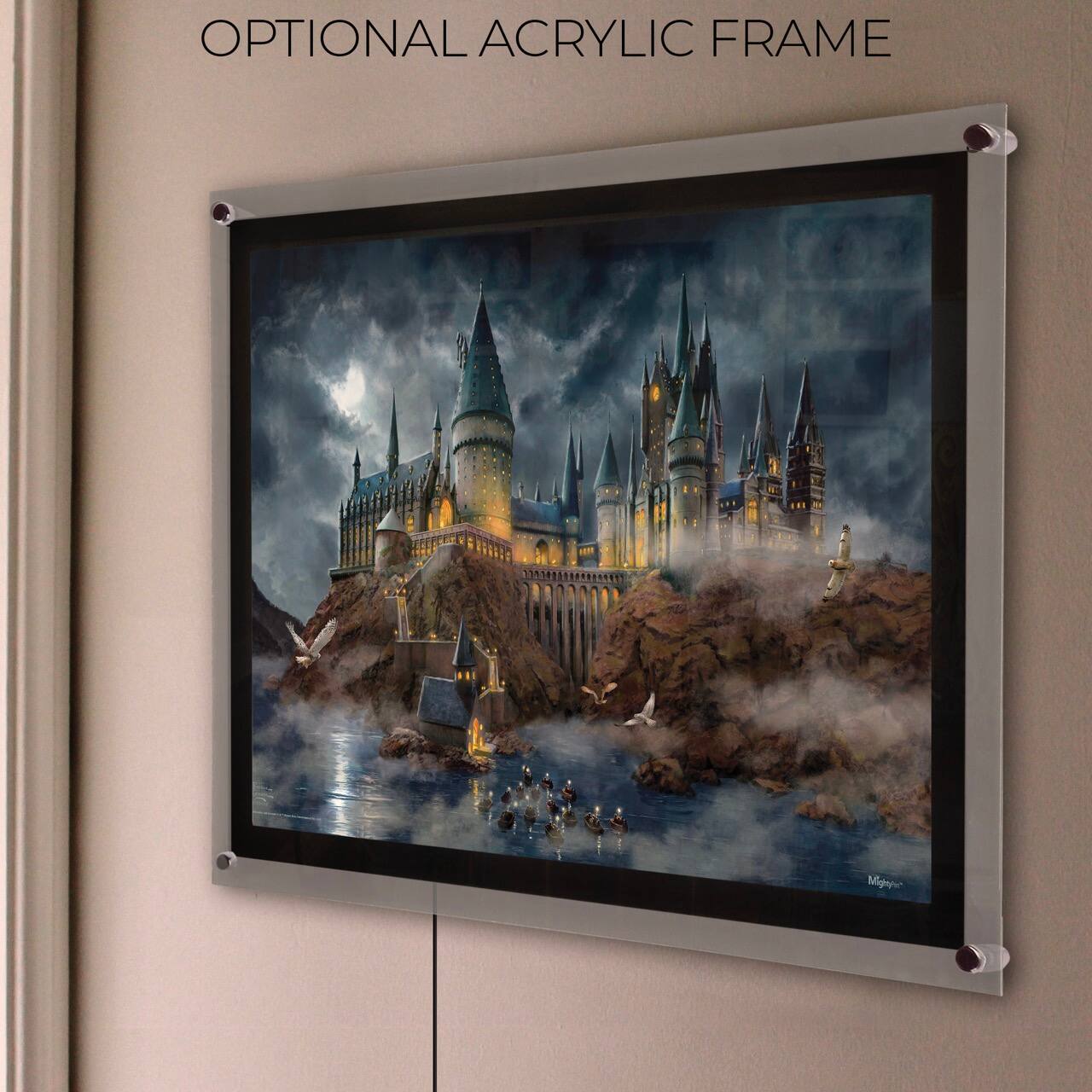 OPTIONAL ACRYLIC FRAME
