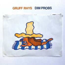 Gruff Rhys - Dim Probs - VINYL LP