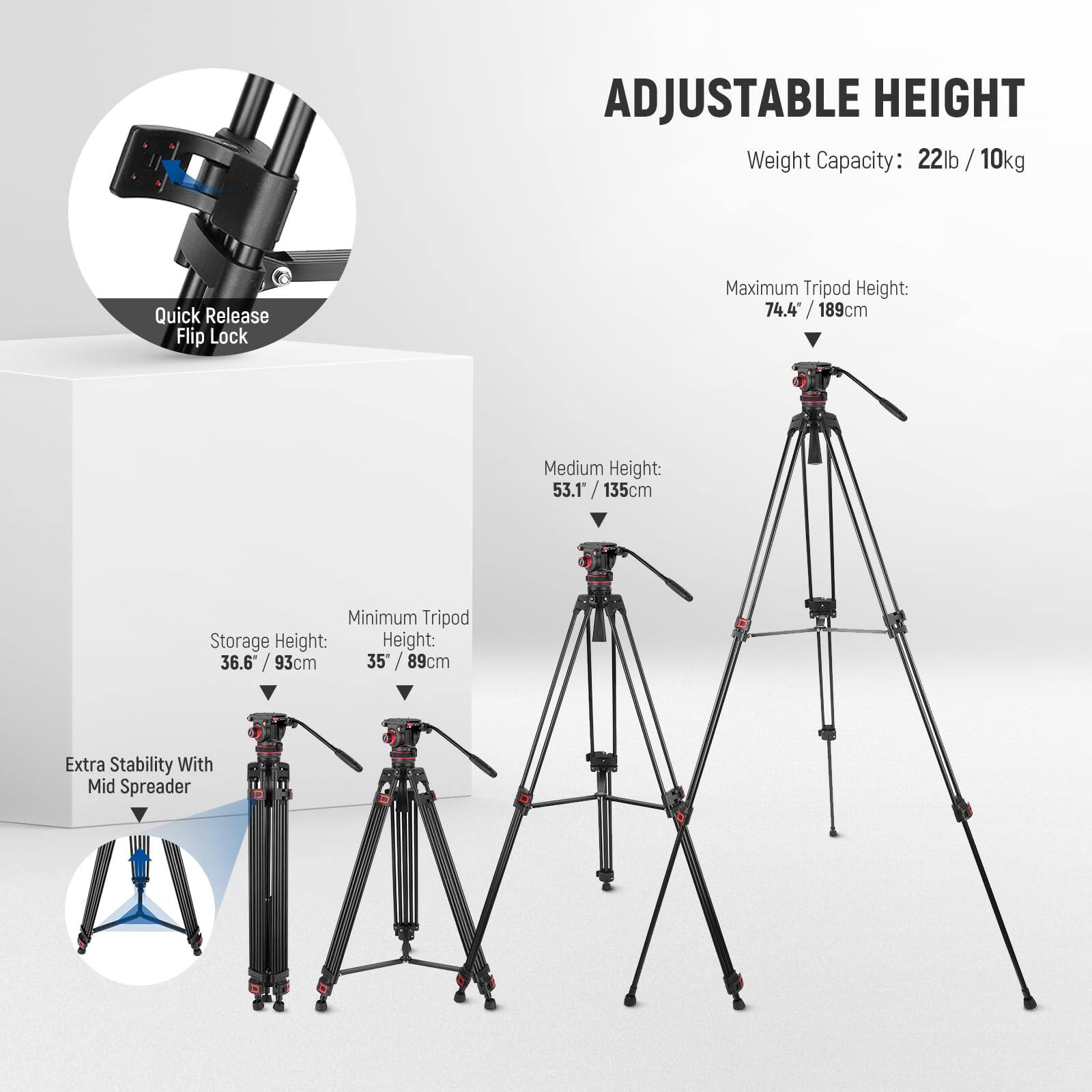 ADJUSTABLE HEIGHT  
Weight Capacity: 22lb / 10kg  

Quick Release Flip Lock  

Maximum Tripod Height: 74.4" / 189cm  
Medium Height: 53.1" / 135cm  
Minimum Tripod Storage Height: 36.6" / 93cm  

Extra Stability With Mid Spreader