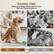 SAVING TIME
Keep your Home Clean and Fur-free
No Hair Flying Anymore!
30mins | $1/once
VS
300mins | $50/once