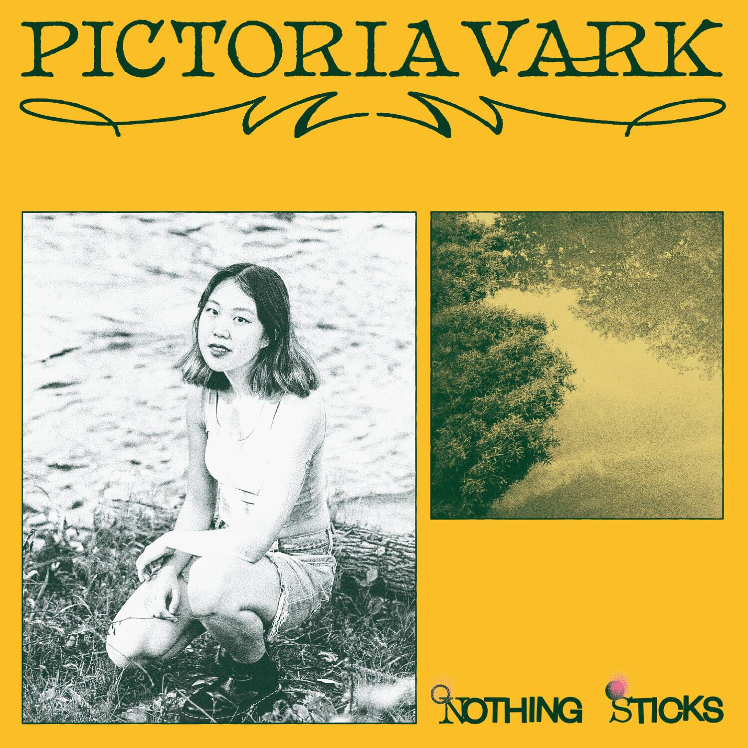 PICTORIA VARK  
NOTHING STICKS