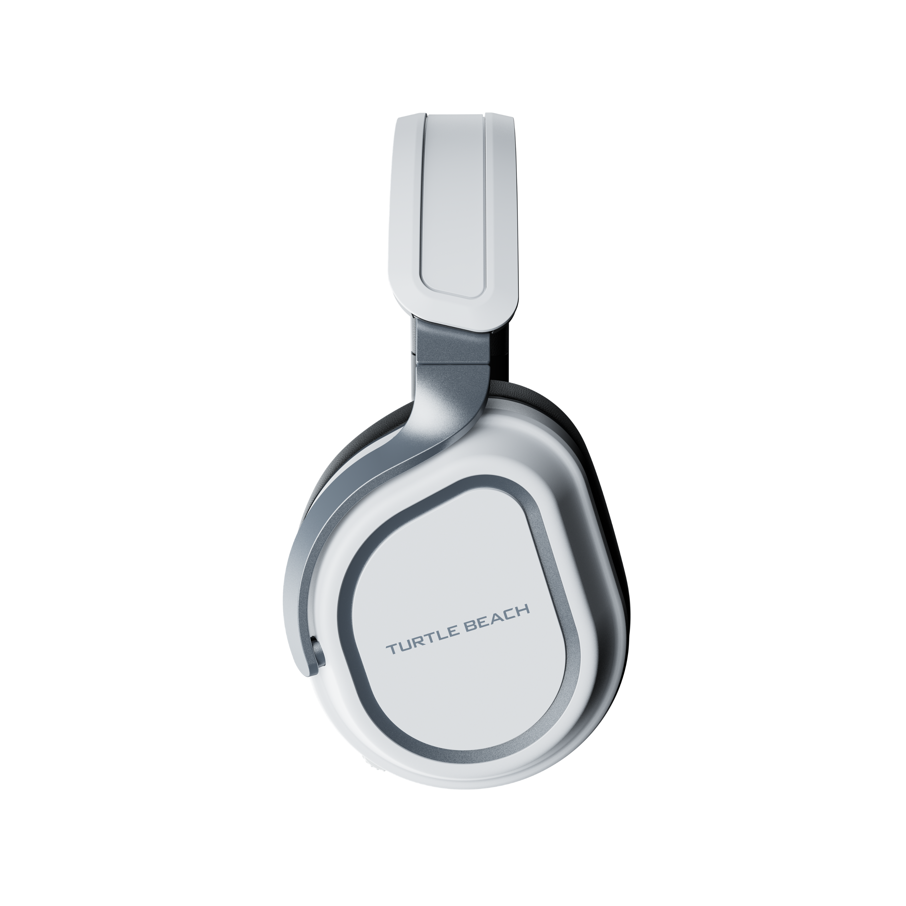 The text on the image reads "Turtle Beach."