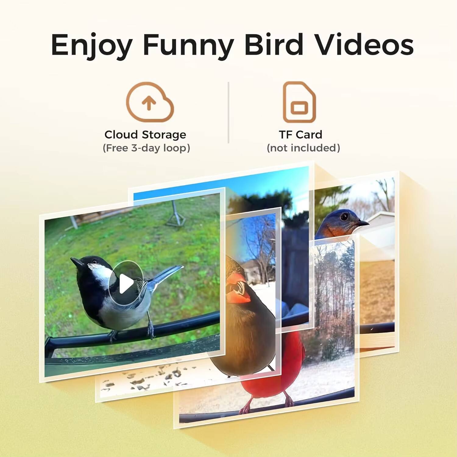 Enjoy Funny Bird Videos

Cloud Storage (Free 3-day loop)

TF Card (not included)