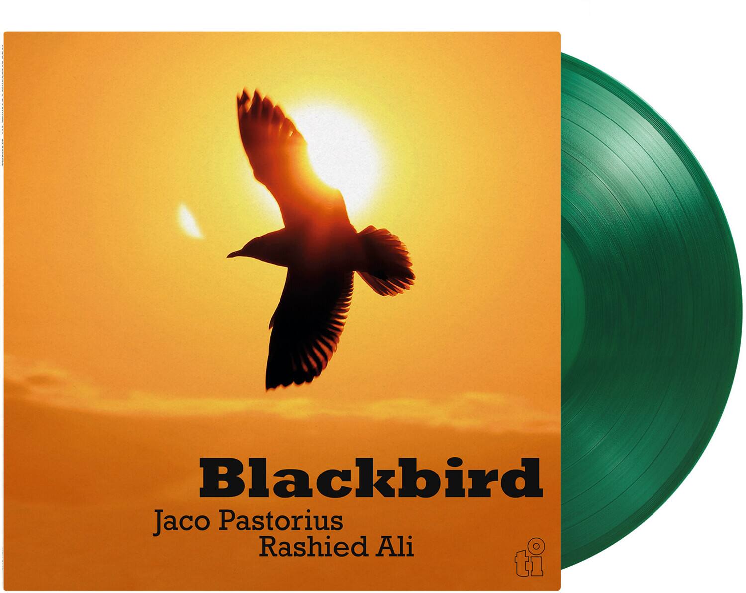 Jaco Pastorius Blackbird VINYL LP - Best Buy