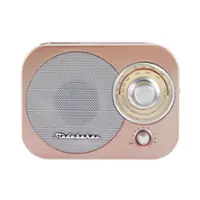 Studebaker - SB2000 Portable AM/FM Radio - Rose Gold - Front_Zoom