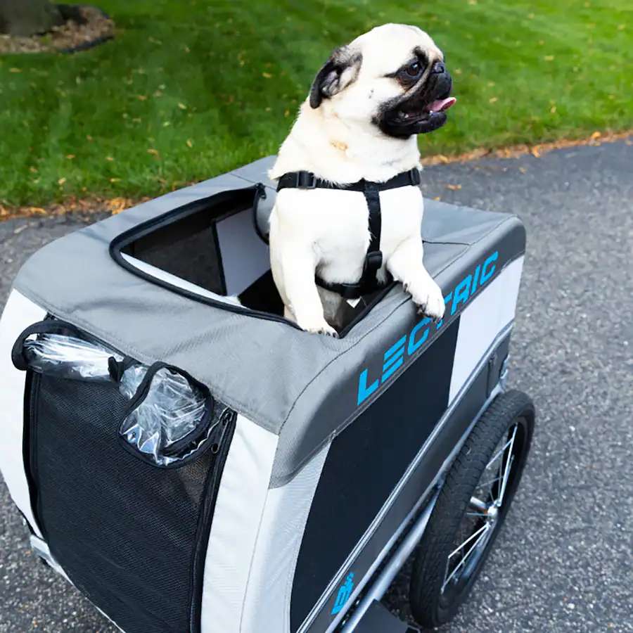 Ebike Best Pet Bike Trailer Best Dog Trailer Bike Carrier Electric