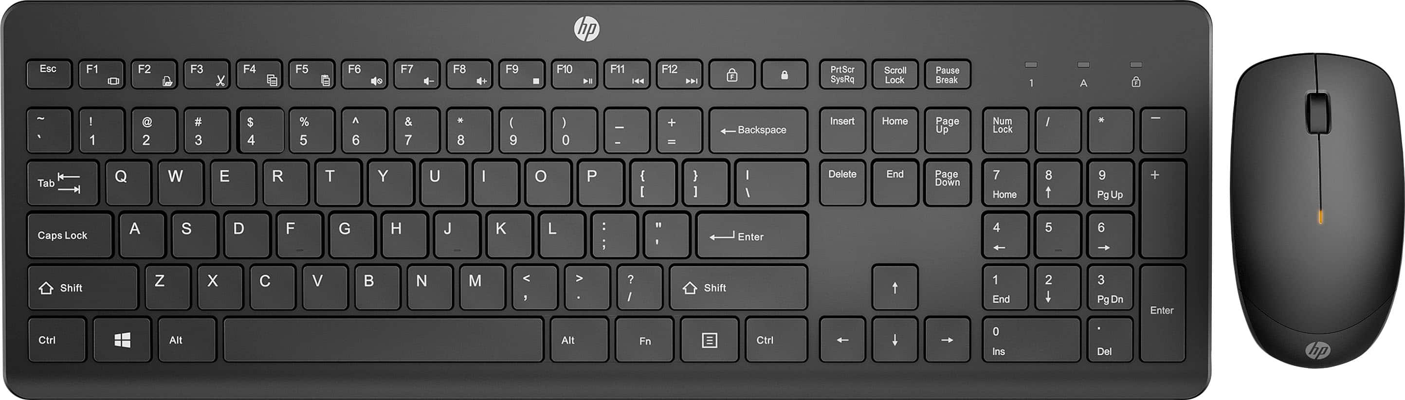 The image shows a black keyboard and mouse on a white background. The keyboard has a HP logo on it, and the mouse is positioned next to it. The keyboard layout includes the usual keys such as the alphabet, numbers, and function keys. Additionally, there are special keys like Home, End, Page Up, and Page Down. The mouse is placed on the right side of the keyboard, ready for use.