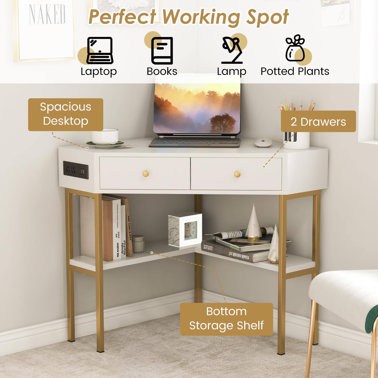 Perfect Working Spot, Laptop, Books, Lamp, Potted Plants, Spacious Desktop, 2 Drawers, Bottom Storage Shelf