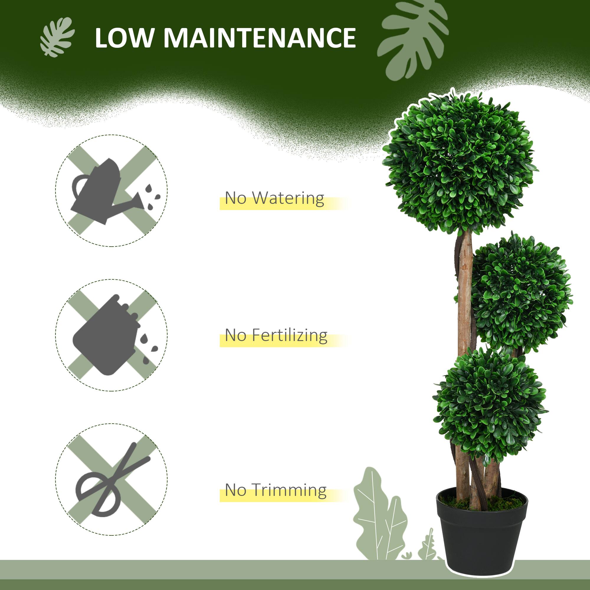 LOW MAINTENANCE

No Watering
No Fertilizing
No Trimming