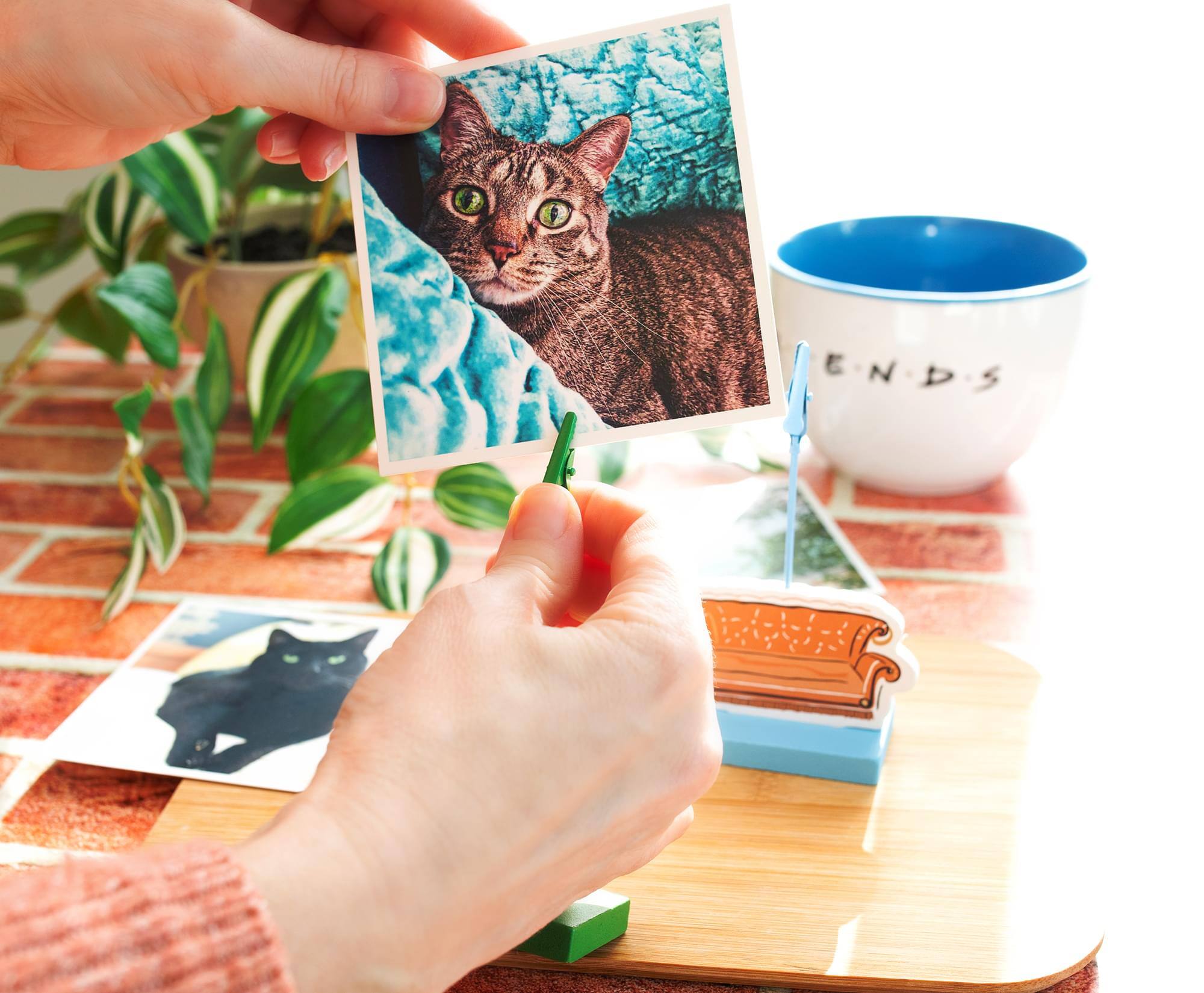 Alt View 3. Silver Buffalo - Friends Central Perk Standing Photo Clip Holders | Set of 2 - Green.