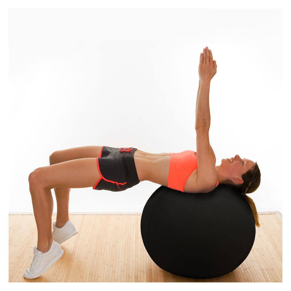 Floortex - Active Anti-Microbial Large Balance Ball - Midnight Black price history on PriceWatchPro