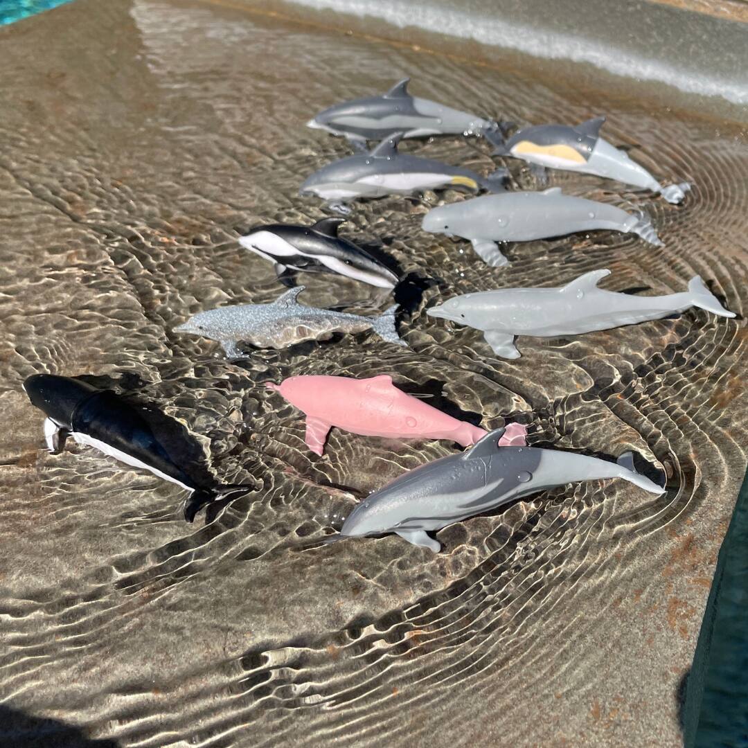 Alt View 3. Safari Ltd. - Dolphins Toob Toy.