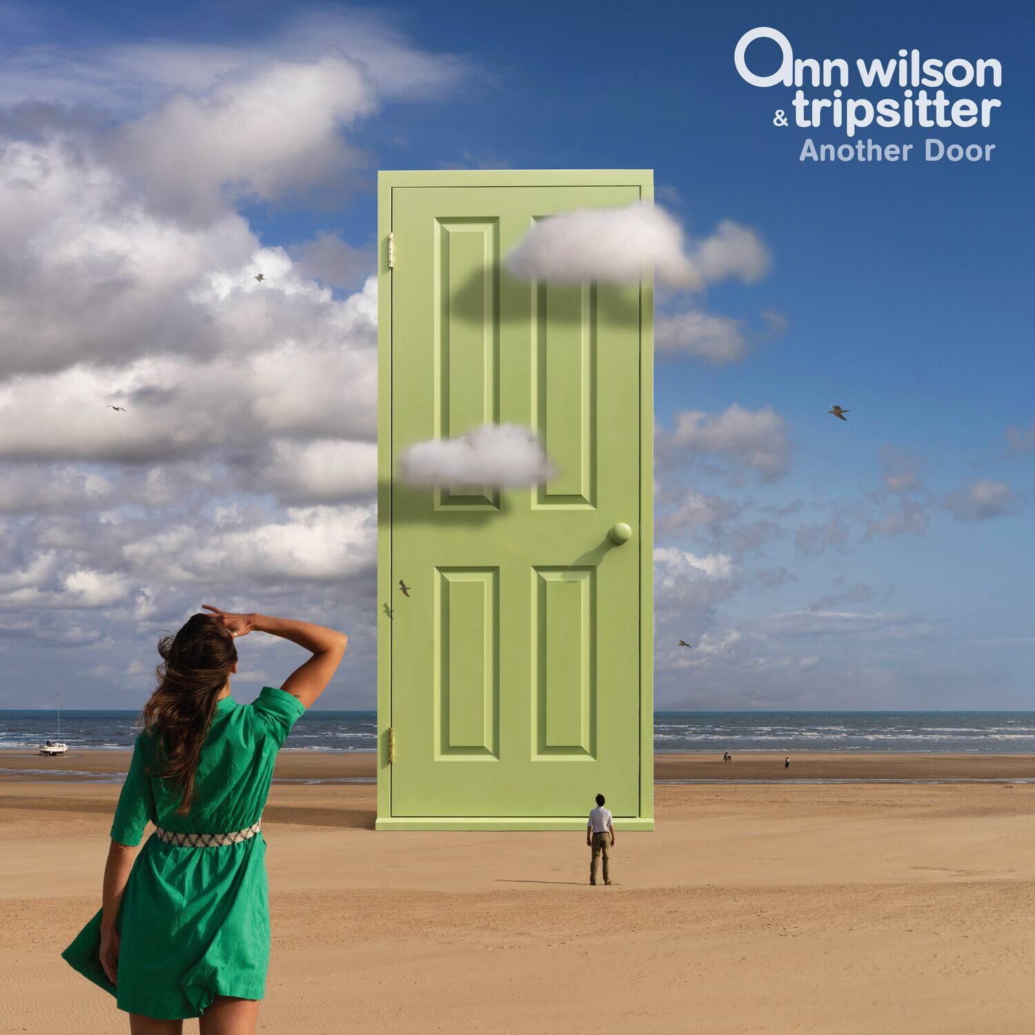 Ann Wilson & tripsitter  
Another Door