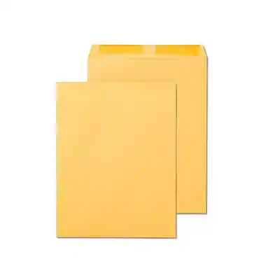 Front. Staples - Gummed Kraft Catalog Envelopes, 12" x 15.5", 100/Box - Brown.
