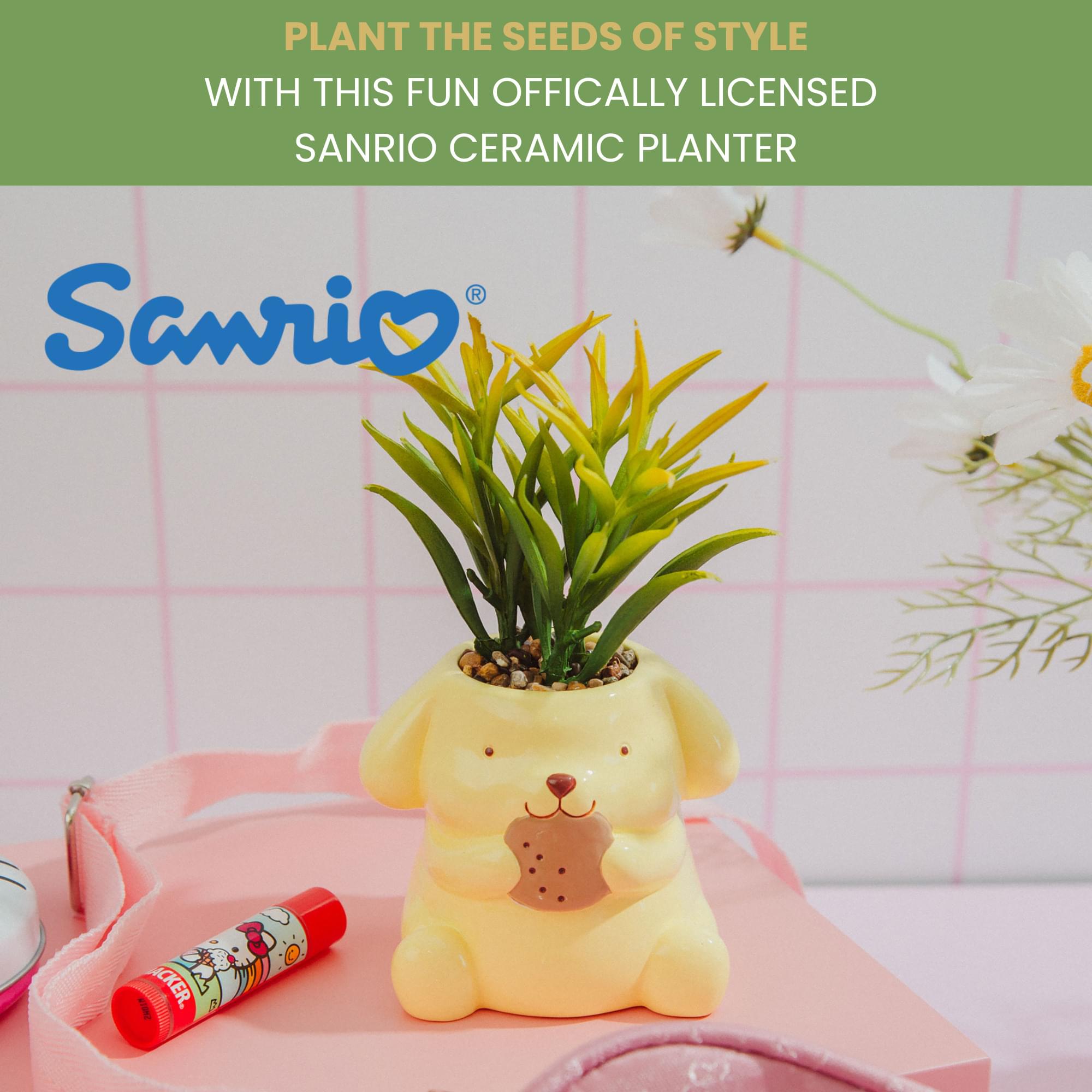 PLANT THE SEEDS OF STYLE  
WITH THIS FUN OFFICIALLY LICENSED SANRIO CERAMIC PLANTER