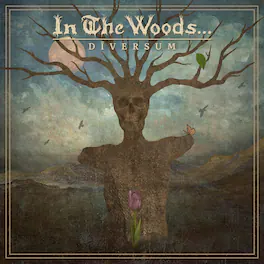 In the Woods... - DIVERSUM - VINYL LP