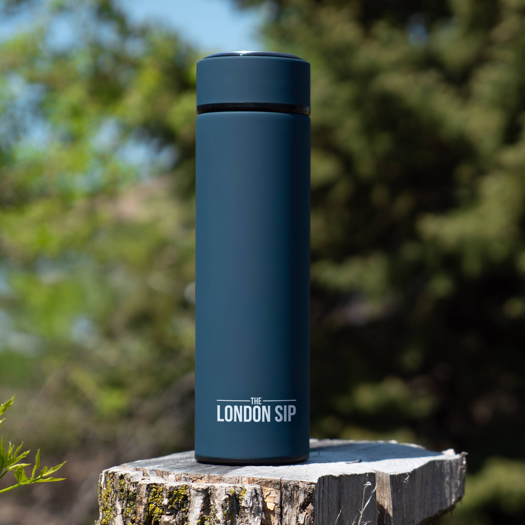 THE LONDON SIP