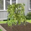 Alt View 4. Costway - Cucumber Trellis for Plant Climbing Foldable Garden Tunnel Trellis with Plastic Coated Tube - Black.