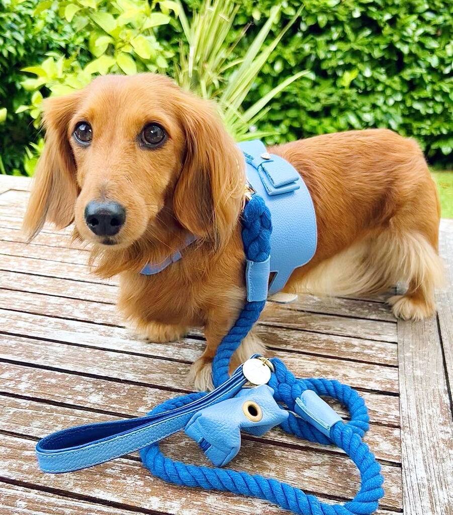 Left. PoisePup - PoisePup Pet Dog 5ft Long Leash - Blue.