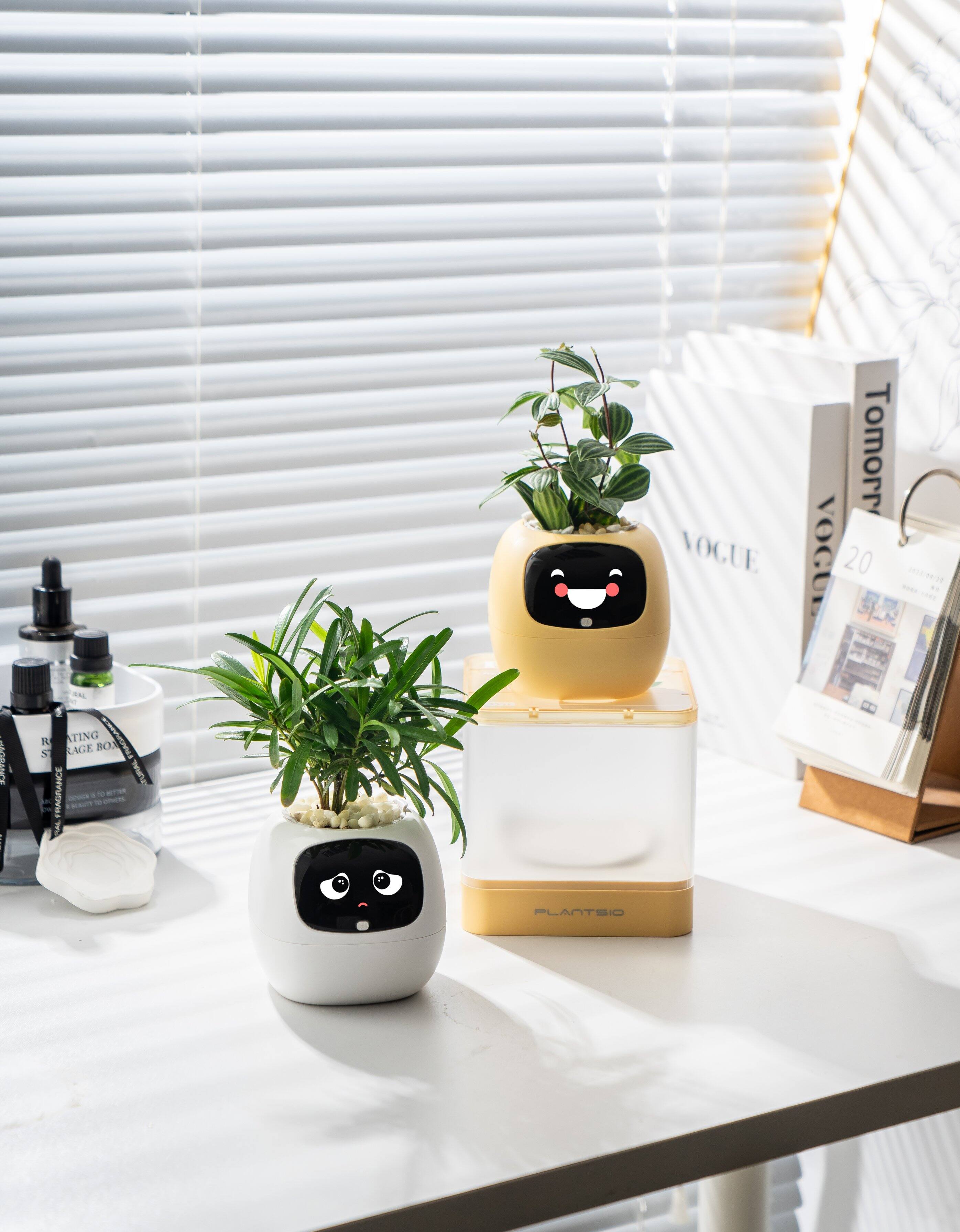 VOGUE Tomorrow VOGUE 20  
PLANTSSIO  
ROTATING STORAGE BOX  
FRAGRANCE