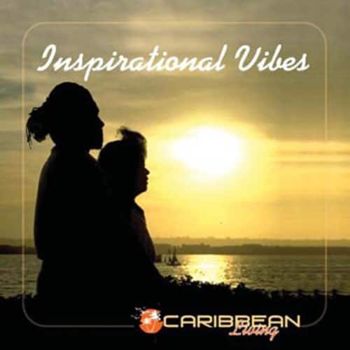 Various Artists - Inspirational Vibes   - COMPACT DISCS [CD] price history on PriceWatchPro