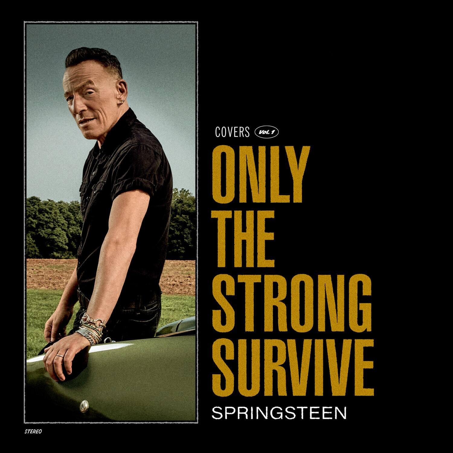 STEREO COVERS VOL. 7  
ONLY THE STRONG SURVIVE  
SPRINGSTEEN