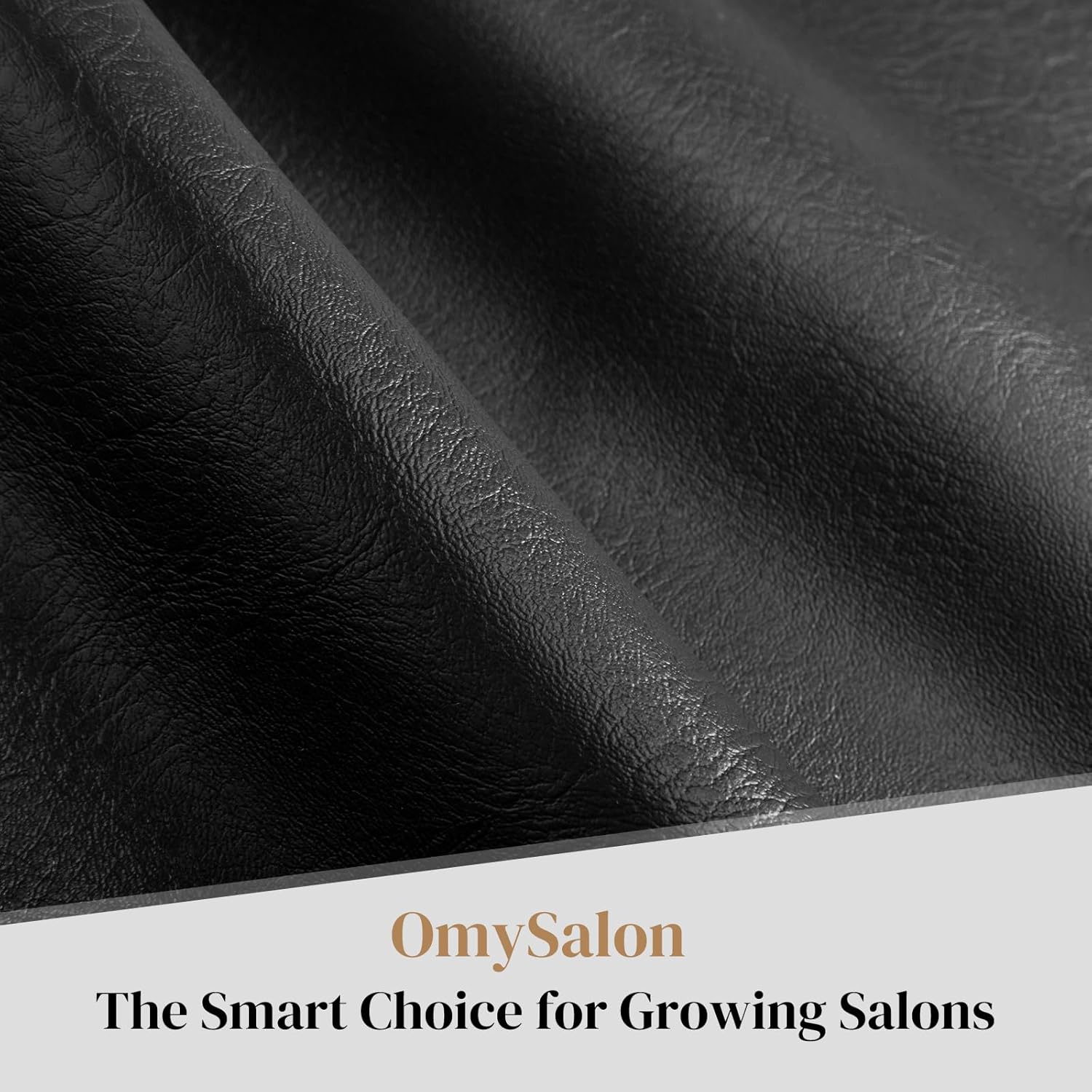 OmySalon  
The Smart Choice for Growing Salons