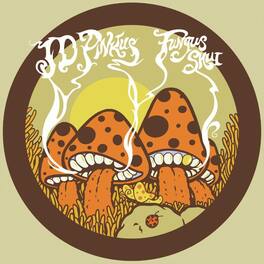 Jd Pinkus - Fungus Shui (Orange Sunshine) - VINYL LP