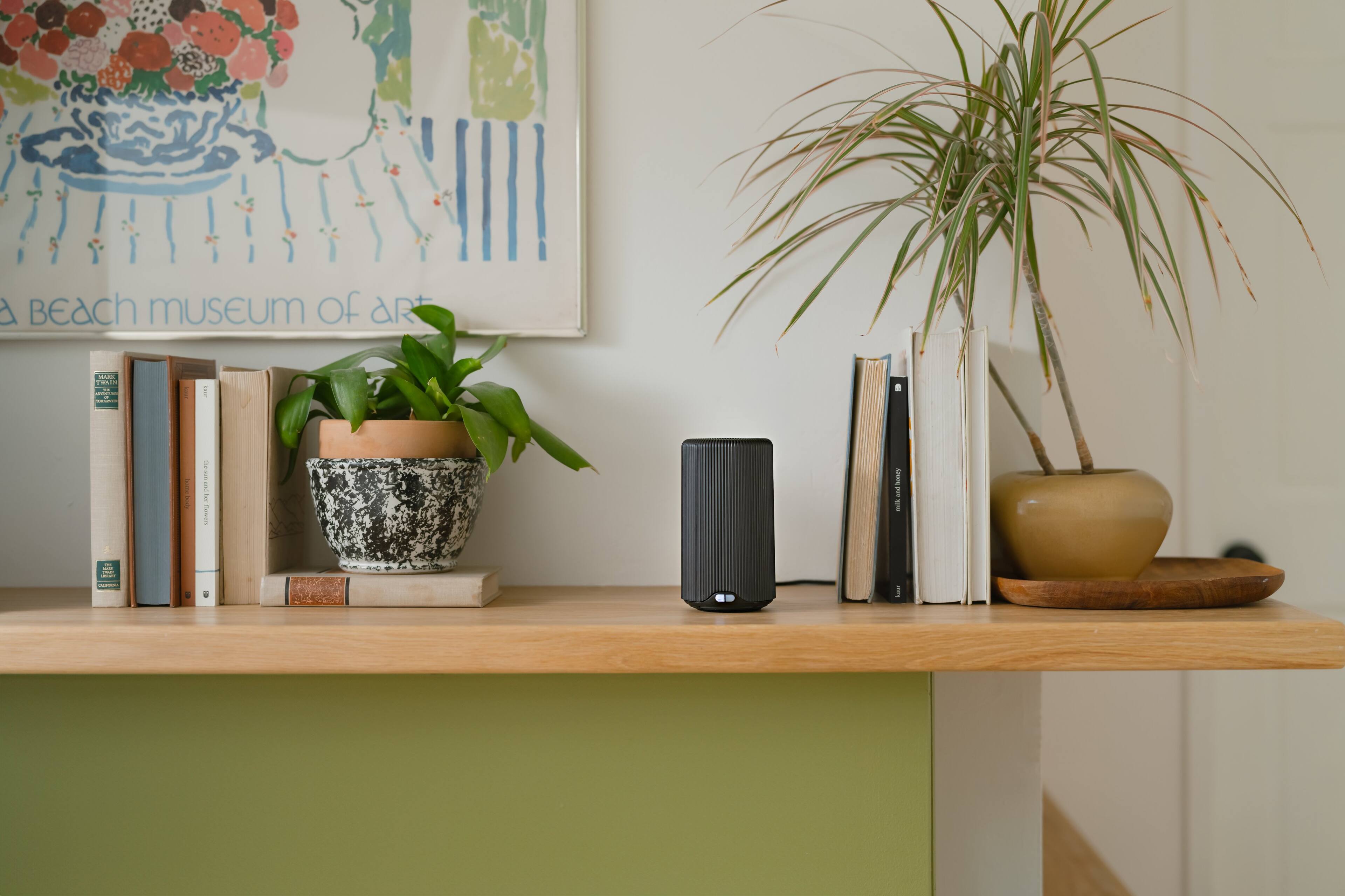 The text on the image reads "Beach Museum of Art".