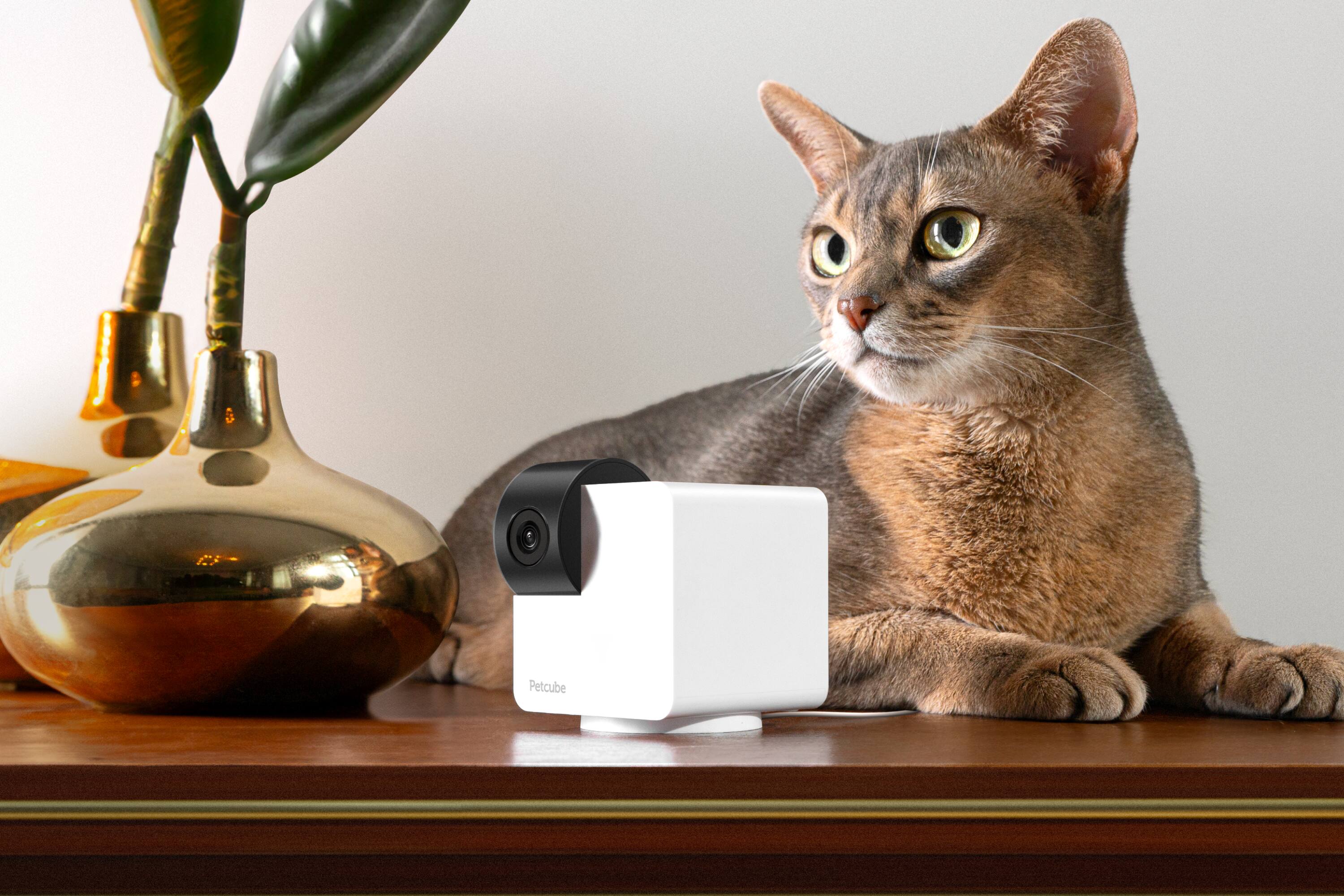 Alt View 1. Petcube - Cam 360 | Interactive WiFi Pet & Home Security Camera with 1080p HD, 360° View, Night Vision & Two-Way Audio - White.