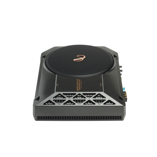 The text on the image reads:

"LEADTEK
BASSLINKS-2
R I"