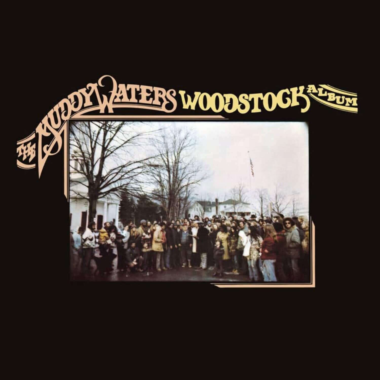 Muddy Waters - The Muddy Waters Woodstock Album   - VINYL LP
